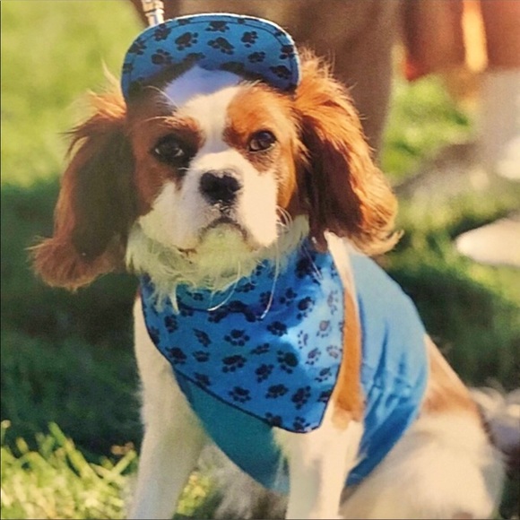 🐶 HOST PICK🐶 9 1/2 x 12 in LIVING WITH DOGS Coffee Table Book - Picture 2 of 12